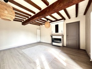 A VENDRE MAISON ANCIENNE - MARSANNAY LA COTE (10 mn DIJON SU