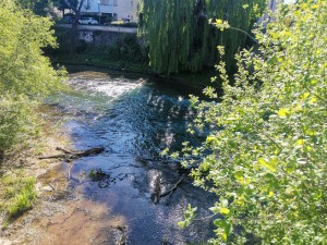 A VENDRE - DIJON Cité de la Gastronomie - Plateau en duplex 