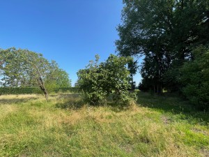 A VENDRE TERRAIN A BATIR RUFFEY LES BEAUNE