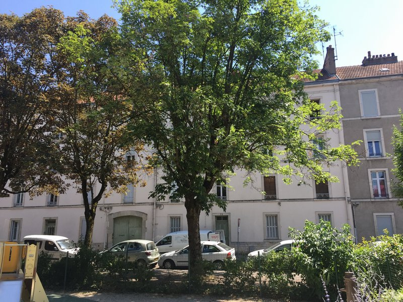 A LOUER TYPE 1 BIS DIJON SQUARE TIVOLI