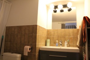 A VENDRE STUDIO Prox Cité Gastronomique - Port du Canal