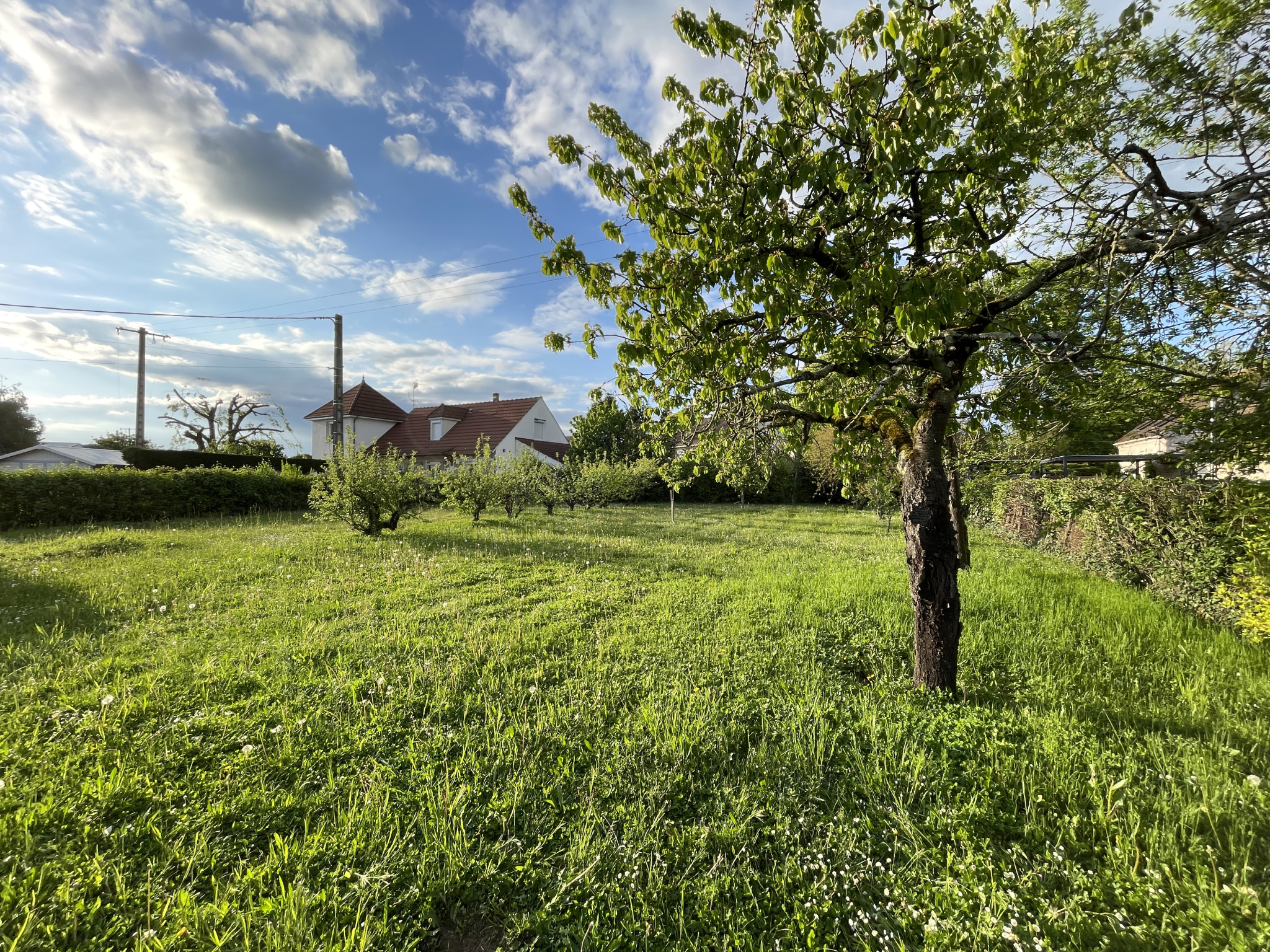 A VENDRE TERRAIN A BATIR A CISSEY 10MN BEAUNE