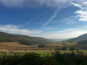 A VENDRE - Maison avec studio indépendant à Reulle-Vergy (Ha