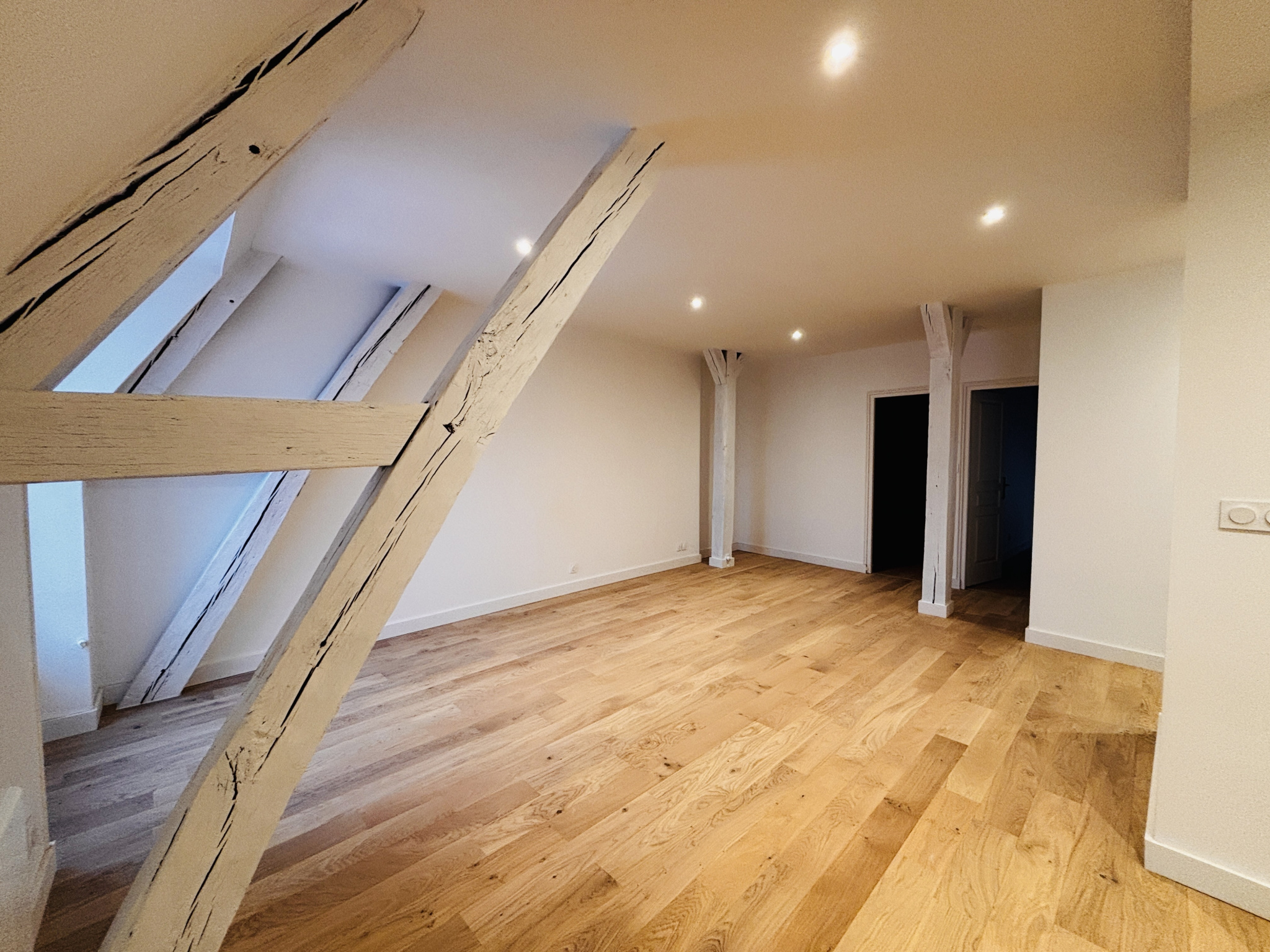 A VENDRE APPARTEMENT TYPE 3 DANS HOTEL PARTICULIER DIJON PLA