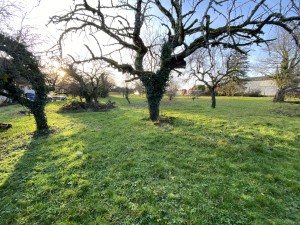 A VENDRE TERRAIN A BATIR HAMEAU CHEVIGNY FENAY