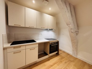 A VENDRE APPARTEMENT TYPE 3 DANS HOTEL PARTICULIER DIJON PLA