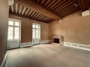 A VENDRE APPARTEMENT TYPE 6 DANS HOTEL PARTICULIER DIJON PLA