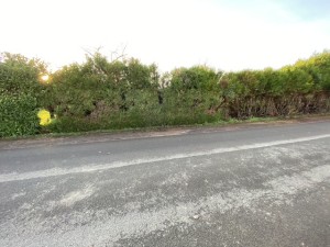 A VENDRE TERRAIN A BATIR HAMEAU CHEVIGNY FENAY