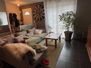 A VENDRE HAUTES COTES DE NUITS (10 mn Nuits St Georges) mais