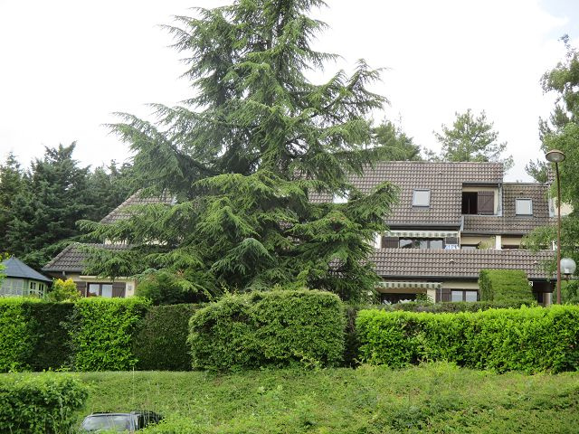 A VENDRE Appartement type 3 - Dijon Résidence Suisse