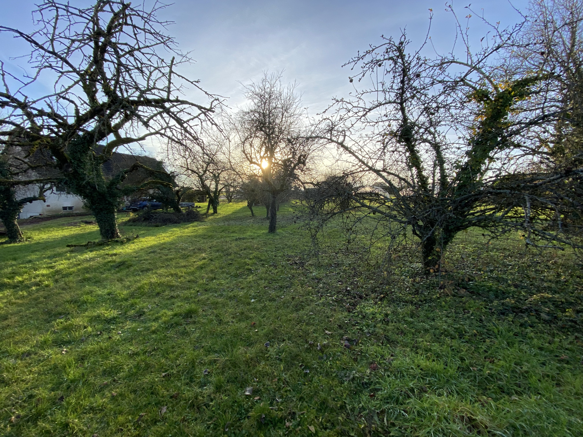 A VENDRE TERRAIN A BATIR HAMEAU CHEVIGNY FENAY