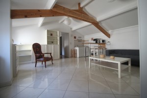 A VENDRE  GRAND TYPE 2  QUARTIER FACULTES DIJON