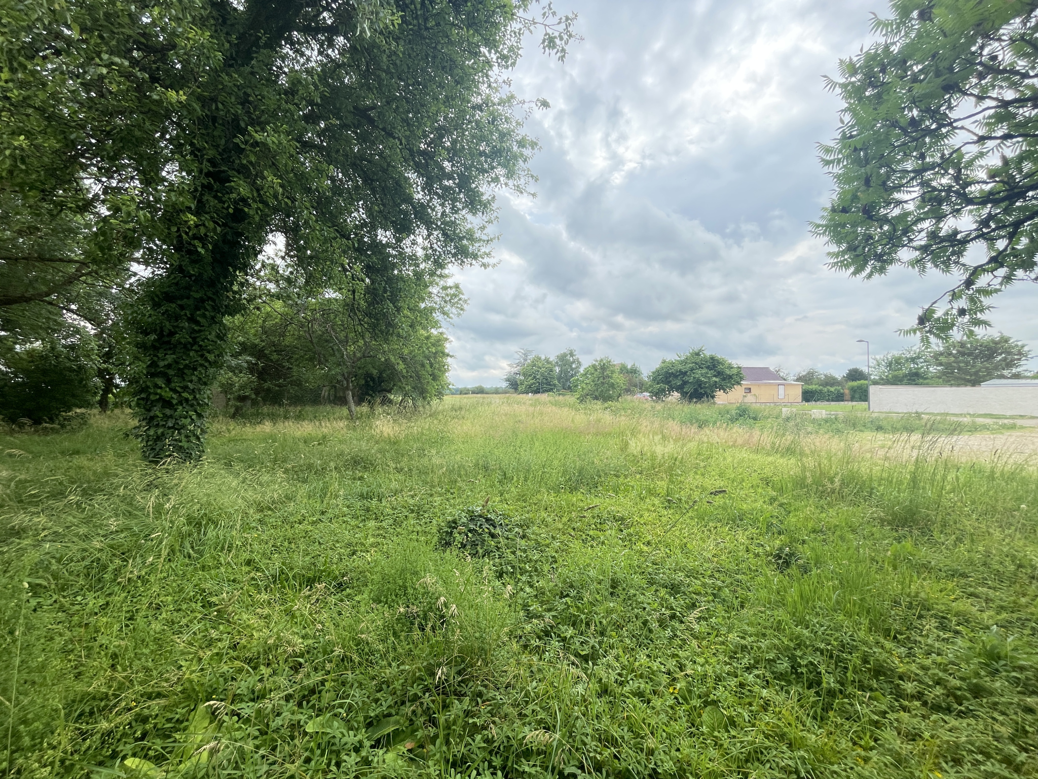 A VENDRE TERRAIN A BATIR SAINTE MARIE LA BLANCHE 