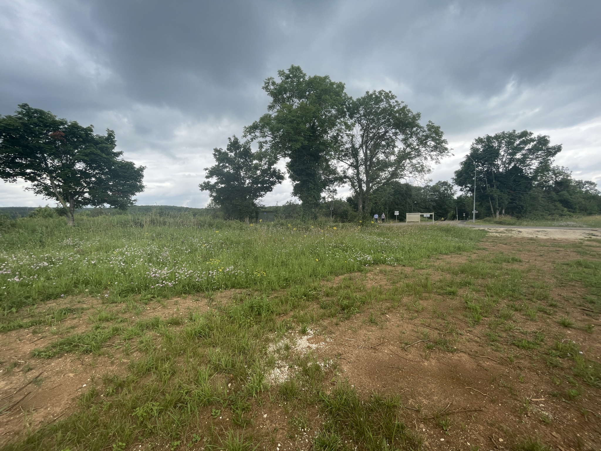 A VENDRE TERRAIN A BATIR MESSIGNY ET VENTOUX 