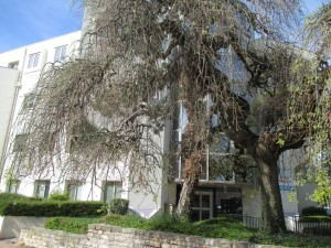  A VENDRE PARKING DOUBLE EN SOUS SOL  DIJON PROCHE RÉPUBLIQU