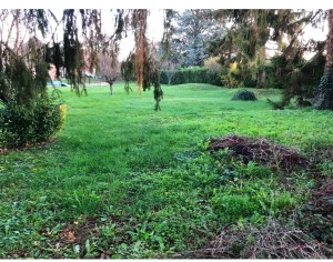 A VENDRE TERRAIN A BATIR FENAY 10 MN DIJON