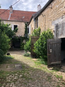 A VENDRE VIEUX CHENOVE BELLE GRANGE A RENOVER 