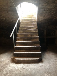A VENDRE VIEUX CHENOVE BELLE GRANGE A RENOVER 