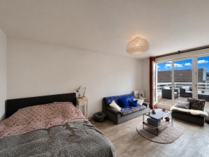 A VENDRE APPARTEMENT T1BIS AVEC TERRASSE DIJON COULEE VERTE 