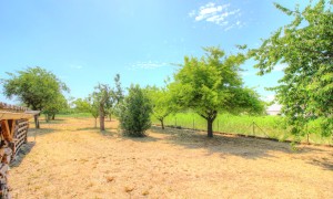 A VENDRE PLAINE DIJONNAISE - Maison T7 132m2 et superbe Terr
