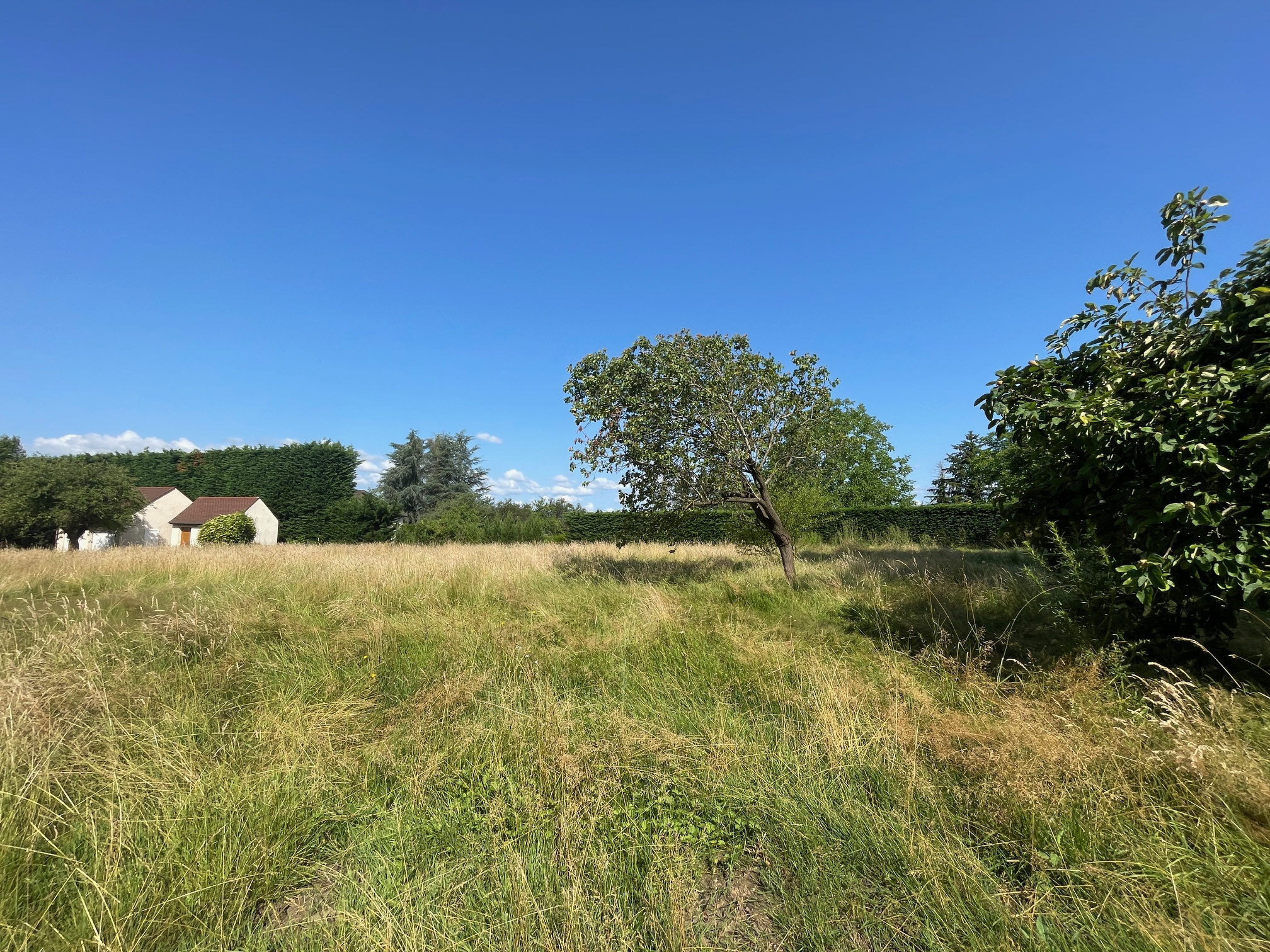 A VENDRE TERRAIN A BATIR RUFFEY LES BEAUNE
